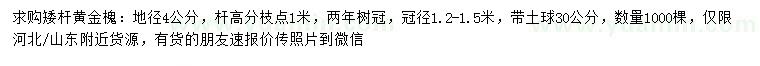 求購(gòu)地徑4公分矮桿黃金槐