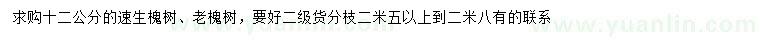 求購12公分速生槐、老槐樹