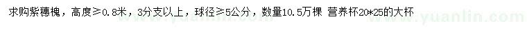 求購高0.8米以上華山松