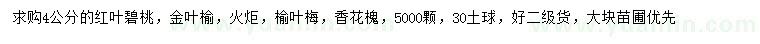 求購紅葉碧桃、金葉榆、火炬等