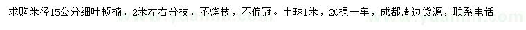 求購米徑15公分細葉楨楠