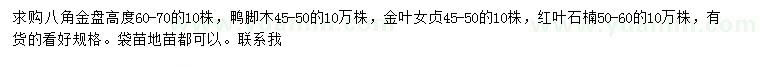 求購八角金盤、鴨腳木、金葉女貞等