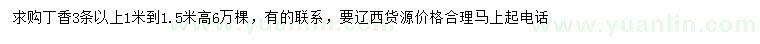 求購高1-1.5米丁香