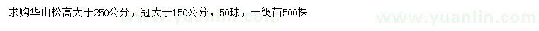 求購高250公分華山松