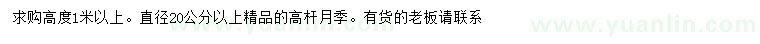 求購(gòu)直徑20公分以上精品高桿月季