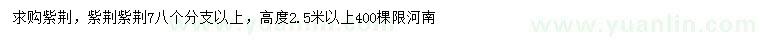 求購(gòu)高2.5米以上紫荊荊