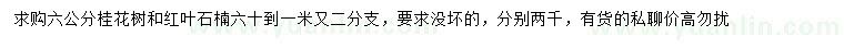 求購6公分桂花樹、紅葉石楠