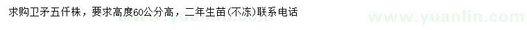 求購高60公分衛(wèi)矛