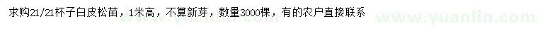 求購高1米白皮松苗