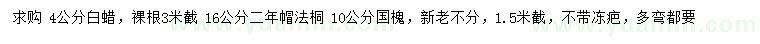 求購白蠟、法桐、國槐