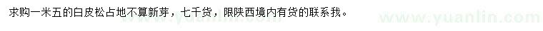 求購1.5米白皮松