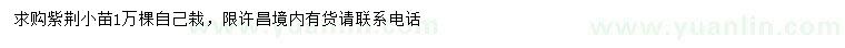 求購紫荊小苗