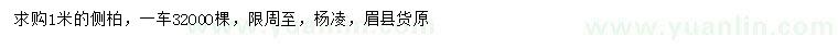 求購1米側(cè)柏