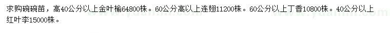 求購(gòu)金葉榆、連翹、丁香等