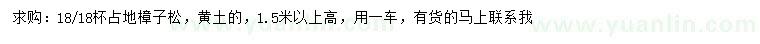 求購(gòu)高1.5米以上樟子松