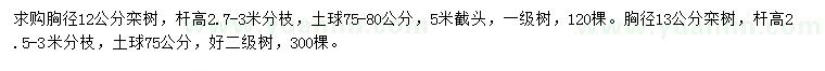 求購(gòu)胸徑12、13公分欒樹