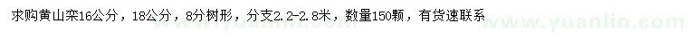求購16、18公分黃山欒