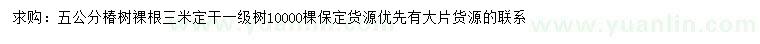 求購5公分椿樹