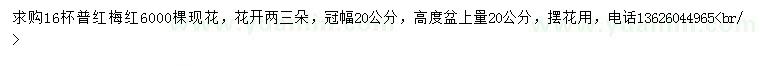 求購高20公分普紅梅