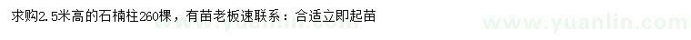 求購高2.5米石楠柱