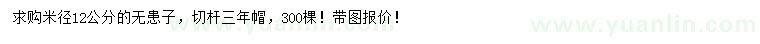 求購米徑12公分無患子