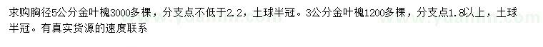 求購胸徑3、5公分金葉槐