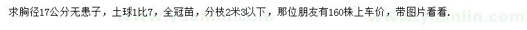 求購胸徑17公分無患子