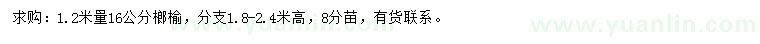 求購(gòu)1.2米量16公分榔榆