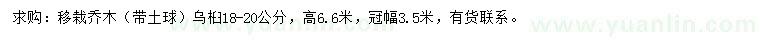 求購(gòu)18-20公分烏桕