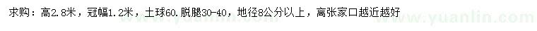 求購(gòu)地徑8公分以上樟子松
