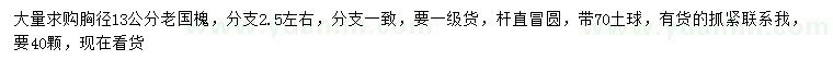 求購胸徑13公分老國槐