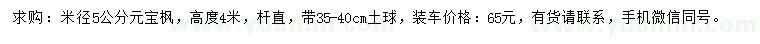 求購米徑5公分元寶楓 
