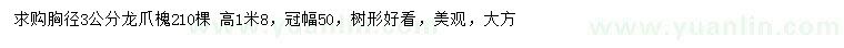 求購胸徑3公分龍爪槐