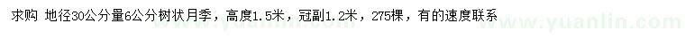 求購(gòu)地徑30公分量6公分樹(shù)狀月季