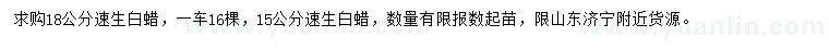 求購15、18公分速生白蠟