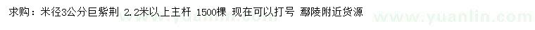 求購米徑3公分巨紫荊