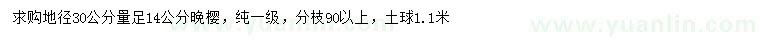 求購30量14公分晚櫻