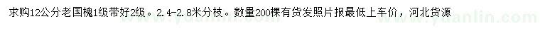 求購12公分老國槐