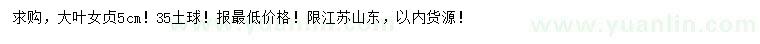 求購5公分大葉女貞