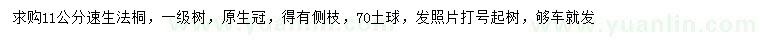 求購11公分速生法桐