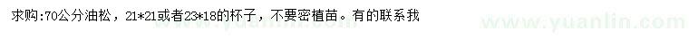 求購高70公分油松