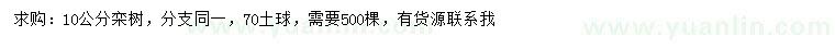 求購10公分欒樹