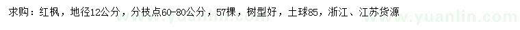 求購(gòu)地徑12公分紅楓