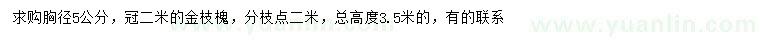 求購胸徑5公分金枝槐