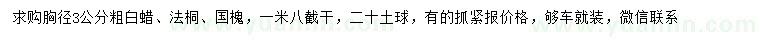 求購白蠟、法桐、國槐