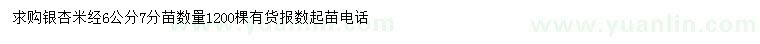 求購米徑6公分銀杏