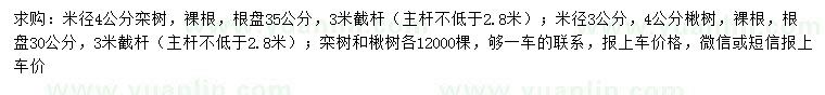 求購(gòu)米徑4公分欒樹(shù)、3、4公分楸樹(shù)