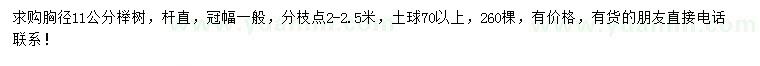 求購胸徑11公分櫸樹