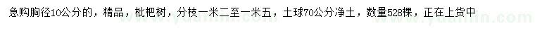 求購胸徑10公分精品枇杷樹