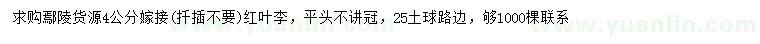 求購4公分嫁接紅葉李